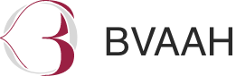 BVAAH – Your Ultimate Wedding Planner App Logo